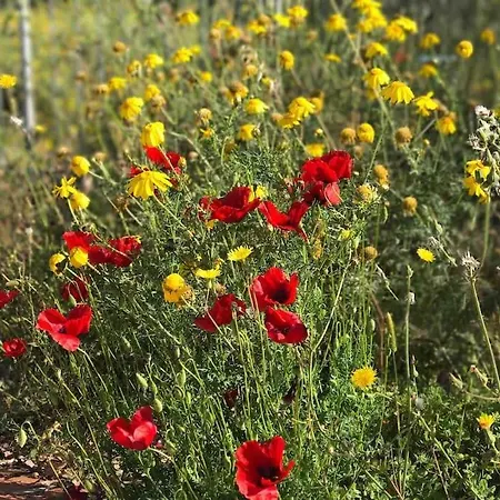Villa Mit Whirlpool Und Phantastischer Aussicht Capoliveri (Isola d'Elba)